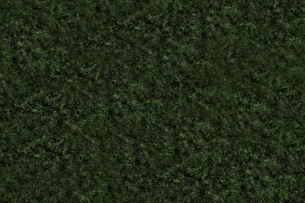 Tessuto Panno 000600 Verde in Lana