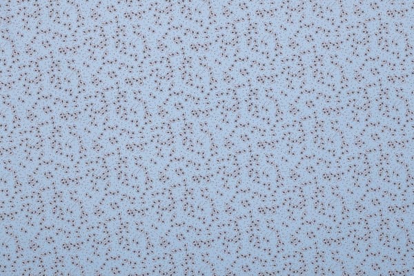 Tissu fleuri en popeline de coton imprimé sur un fond bleu clair | new tess